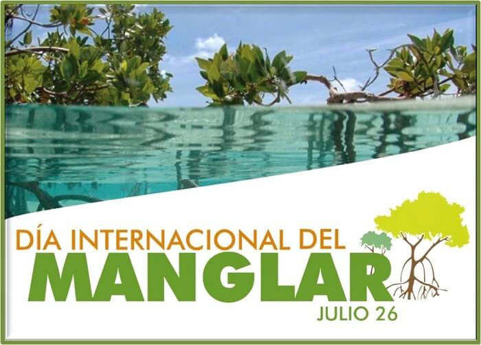 Día del manglar – Sustancia Infinita