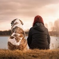 Grieving pet loss: honoring the process